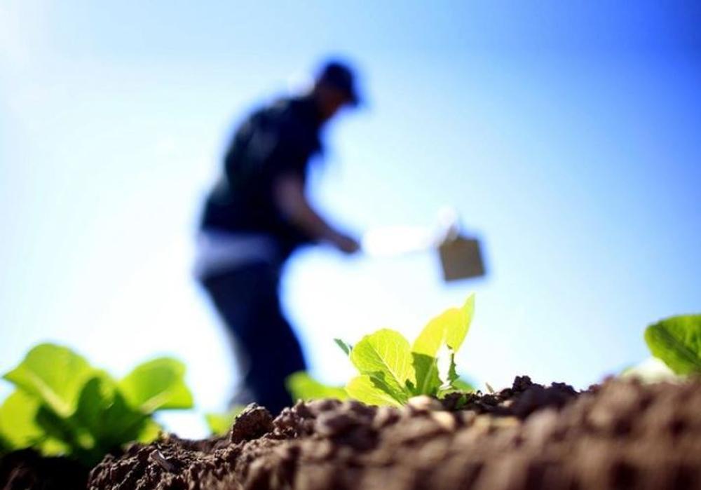 Agroalimentación: empleos dignos para un sector estratégico